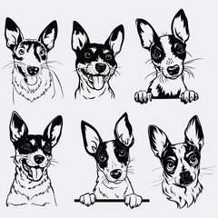 Rat Terrier, Dog Svg Files Cricut, Cute Pet Face Clipart, Animal Peeking Vector