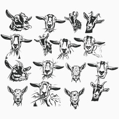 funny goat, svg, farm animal, Ibex, Billy goat clipart, download, head, face, vector