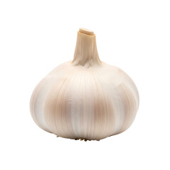 A single white garlic bulb with a light brown stem isolated on transparent background