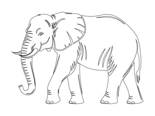 Walking Elephant Line Art Silhouette Illustration