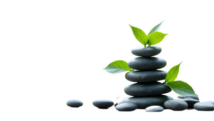 Obraz premium Zen stones with small green plant isolated on transparent background. 
