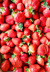 Fresh juicy ripe strawberries at the farmers market. Summer berries with vitamins close-up