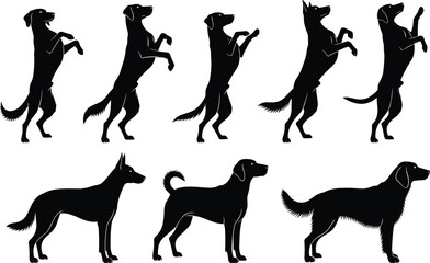 Dog silhouette vector illustration, standing dog poses, playful dog gestures, breed variety, pet graphic set, animal icon, black white artwork, canine posture set, puppy design