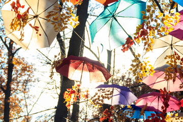 Multicolored umbrellas on the autumn park. Colorful umbrellas hanging among trees in the fall