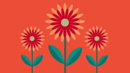 Minimal Style Illustration of African Daisies