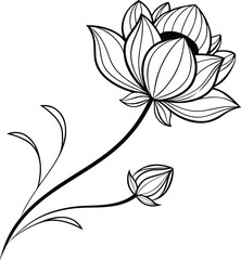 Vector art of a delicate black and white illustration of a blooming lotus flower with a bud