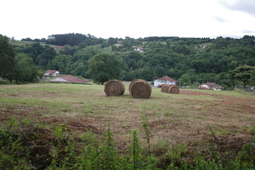 Bales of hay