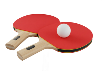 Ping Pong Paddles Ball Table Tennis Sports Game Recreation Indoor Equipment