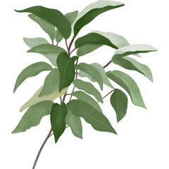 A watercolor illustration of a leafy green branch with multiple long, flowing leaves in various shades of green. The texture adds a natural,handmade feel,perfect for botanical-themed designs.