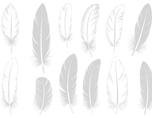 Elegant White Bird Feather Silhouettes Collection for Design Projects