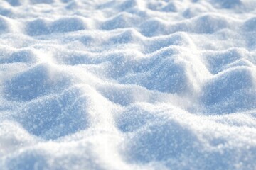 Snow Covers Ground with Winter Wonderland Theme