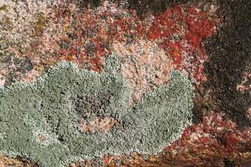 Texture image of an old stone