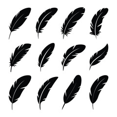 Collection of twelve black feather silhouettes on a white background