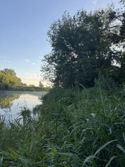 lake in the forest
