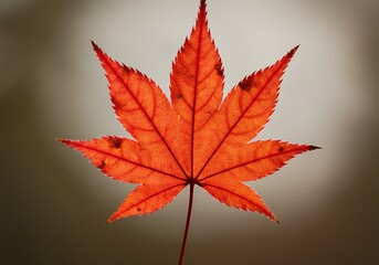 燃え尽きる炎色