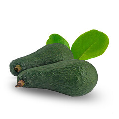 fresh avocado fruits on a white,isolated