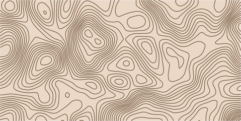 Vector color and Black line luxury organic pattern. Japanese style abstract wave, elegant water, contour, topography, cloud elegant texture. Premium fancy minimal template. color background.