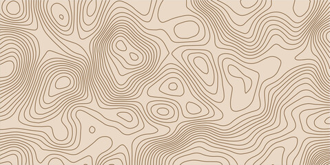 Vector color and Black line luxury organic pattern. Japanese style abstract wave, elegant water, contour, topography, cloud elegant texture. Premium fancy minimal template. color background.