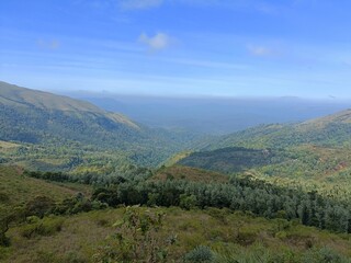 Naklejka premium View of lush mountains and valleys under bright blue sky in a remote forest location during daytime