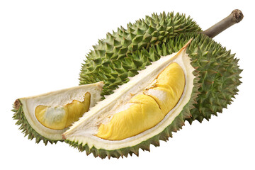 Fototapeta premium Large opened durian with yellow flesh segments visible inside spiky green shell, isolated on a transparent background