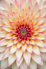 Dahlia flower texture from above showing perfect symmetry and petal spiral. Great for botanical posters, wellness branding, floral packaging, and meditation visuals.
