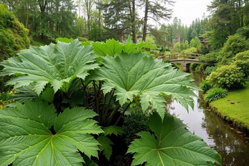 Massive gunnera manicata with giant leaves grows by a peaceful stream in a landscaped garden. Great for botanical prints, garden ads, ecology blogs, and landscaping visuals.
