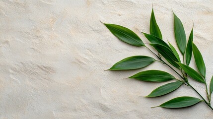 Green Leaves on Beige Textured Background