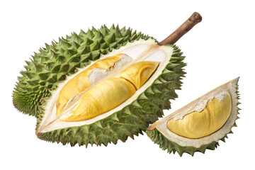 Obraz premium Durian fruit whole and sectioned showing spiky exterior shell and creamy yellow flesh inside chambers, isolated on a transparent background