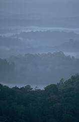 Guyane-forêt tropicale-paysages-plage