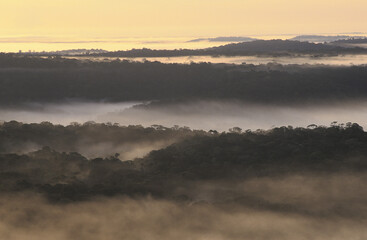 Guyane-forêt tropicale-paysages-plage
