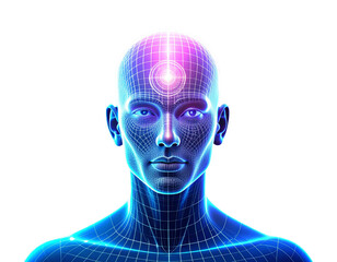   Face Recognition AI Interface on 3D Holographic Head Floating in Digital Space