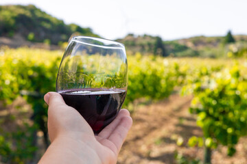 A hand holding a glass of red wine in a vineyard. Lush green grapevines stretch into the distance...