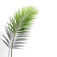 Obraz premium 光のささやき