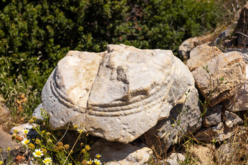 Ancient stone artifact partially buried in rocky terrain. Surrounding vegetation includes small...