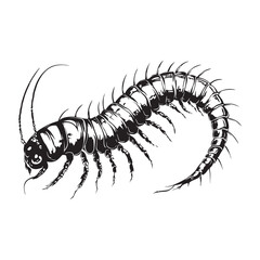 Vector illustration of a centipede silhouette. Suitable for nature, insect, wildlife, and creepy-crawly themes.