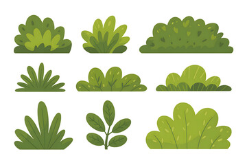 Collection of green bush illustrations isolated on transparent background