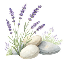Rocks flowers minimalist Clipart watercolor
