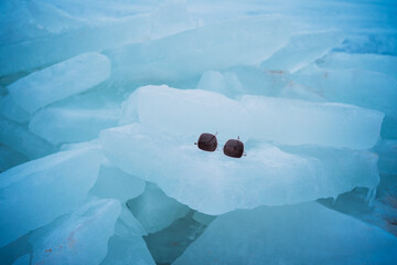 Black vintage sunglasses on ice background