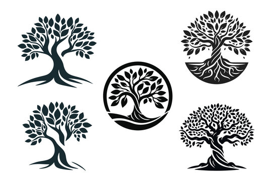 This is a black banyan tree logo vector image suitable for use in forestry company logo designs, tree cultivation, ecosystems, flora, plant lovers, jackets, ornamental plants, communities,