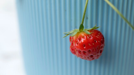jolie fraise