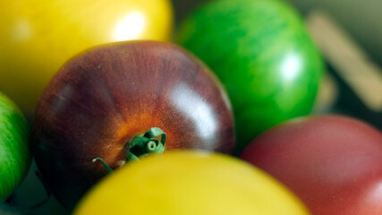 tomates colorées