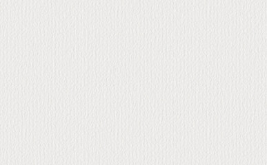 High quality background of white rough textured construction paper/白いざらざらした質感の画用紙の高品質な背景

