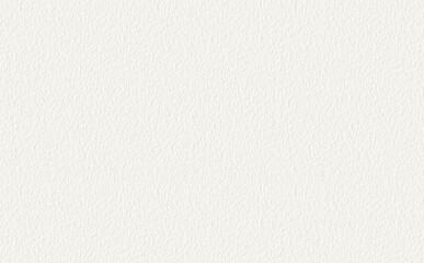 Obraz na płótnie Canvas High quality background of white rough textured construction paper/白いざらざらした質感の画用紙の高品質な背景