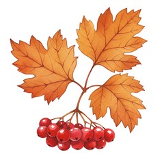 秋の朱の実と紅葉