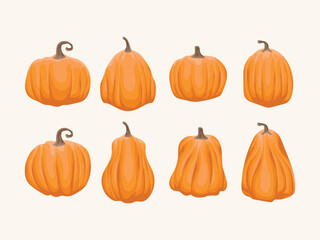 pumpkin halloween october thanksgiving autumn seasonal ingredient healthy harvest icon element flat