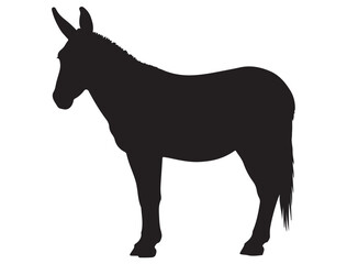 MULE SILHOUETTE