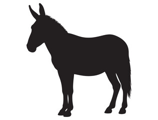 MULE SILHOUETTE