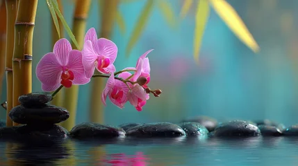 Poster Peaceful spa setting with pink orchid flowers and smooth black stones on water with bamboo and green leaves background