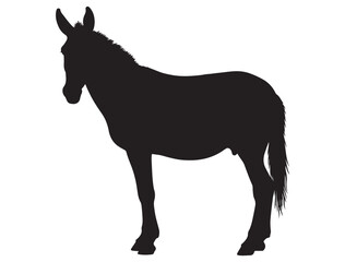 MULE SILHOUETTE