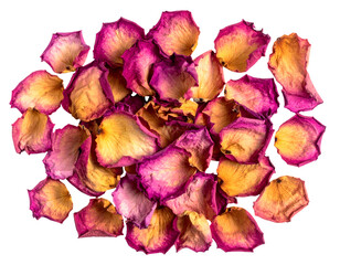 dried rose petals in vibrant pink and golden yellow hues on isolated background for botanical aromatherapy, natural skincare, or spa decoration visuals
